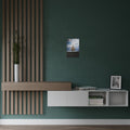 The Lonely Tree | Satin Print Landscape Wall Art