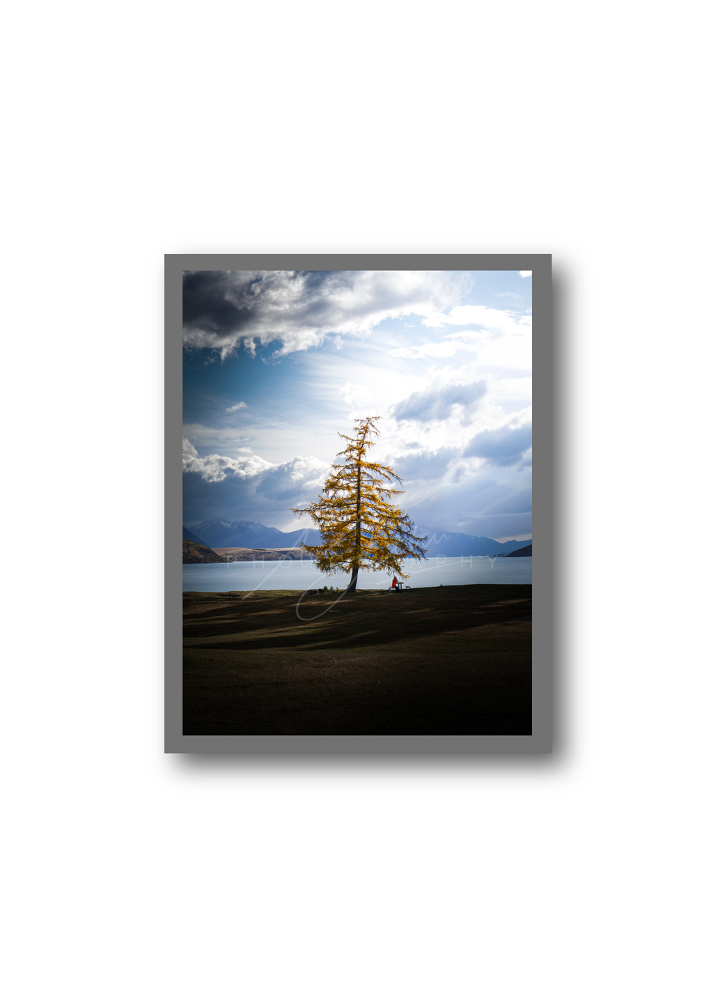The Lonely Tree | Satin Print Landscape Wall Art