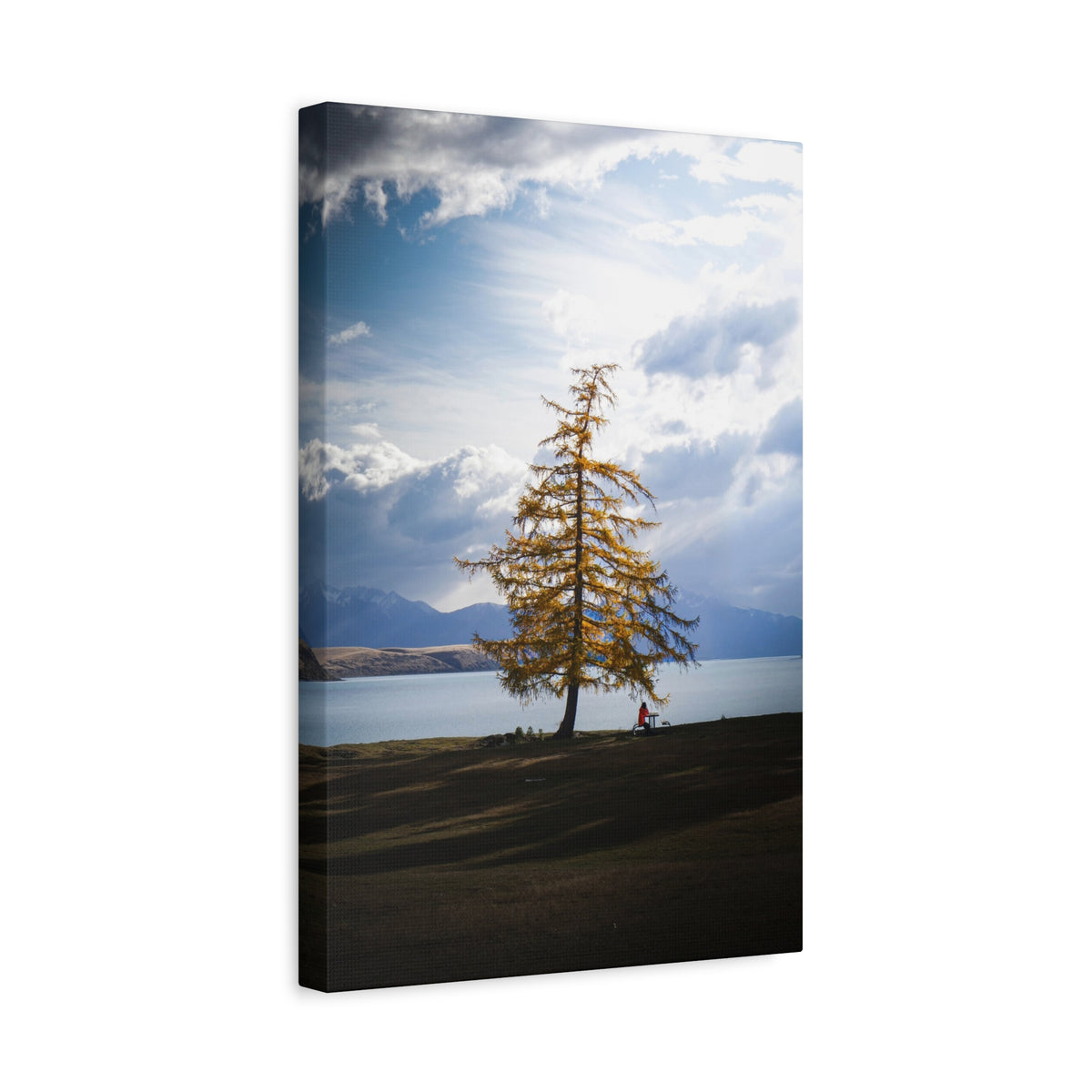 The Lonely Tree | Matte Canvas Wall Art