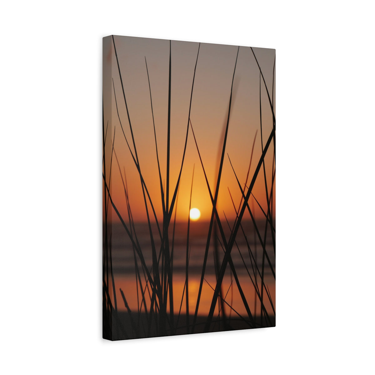 Golden Grass | Matte Canvas Wall Art
