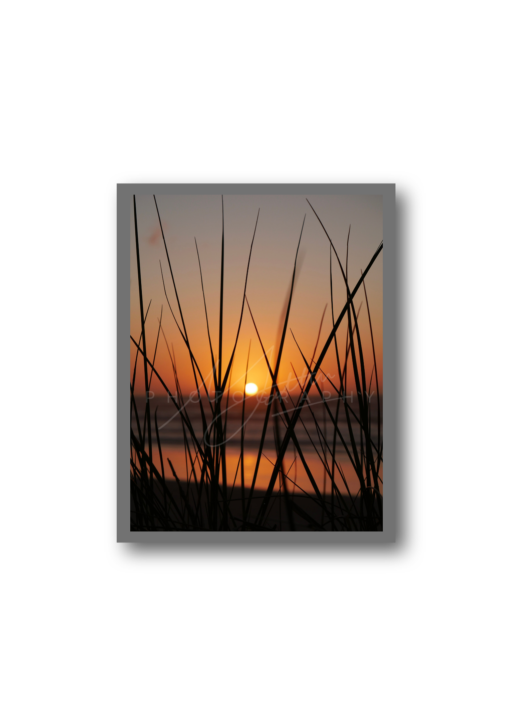 Golden Grass | Satin Print Landscape Wall Art