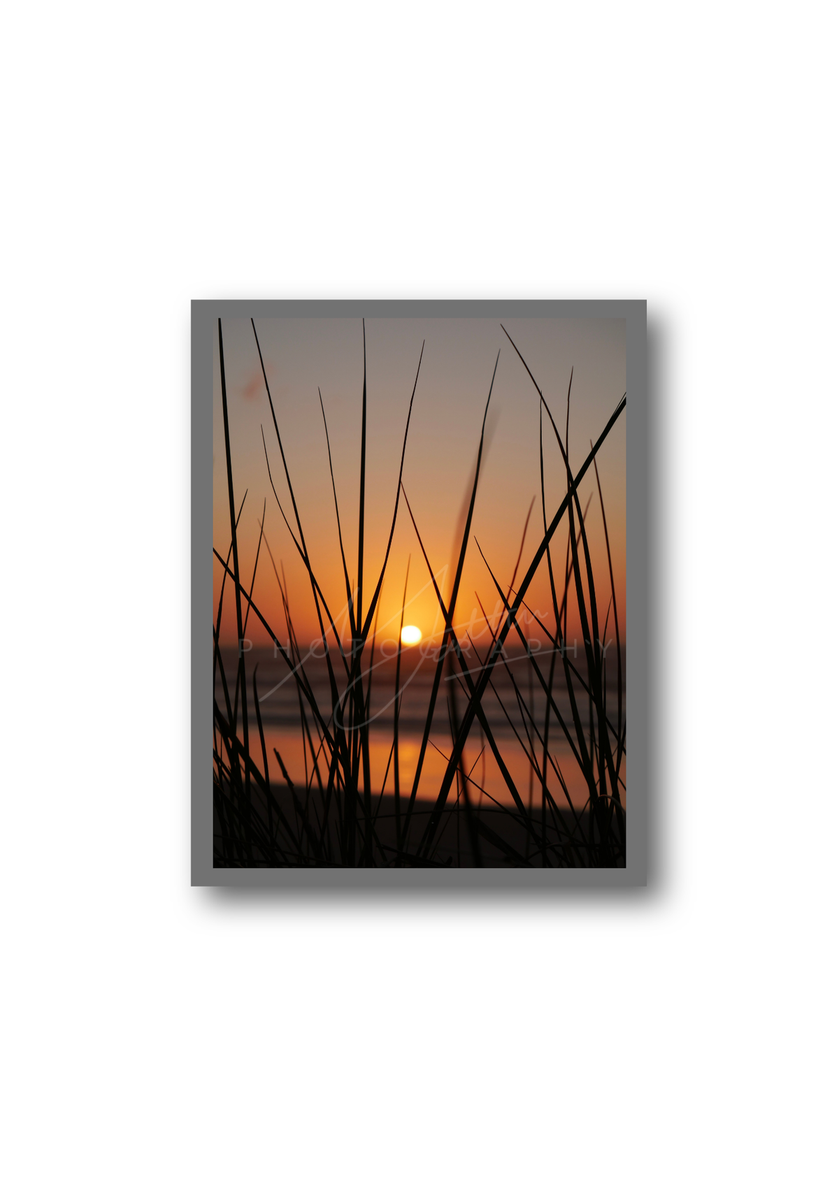 Golden Grass | Satin Print Landscape Wall Art